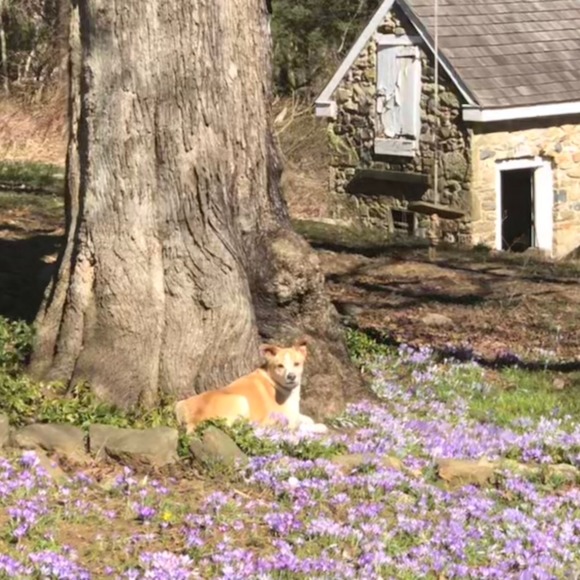 Meet your Posher, Robin - Picture 1 of 1